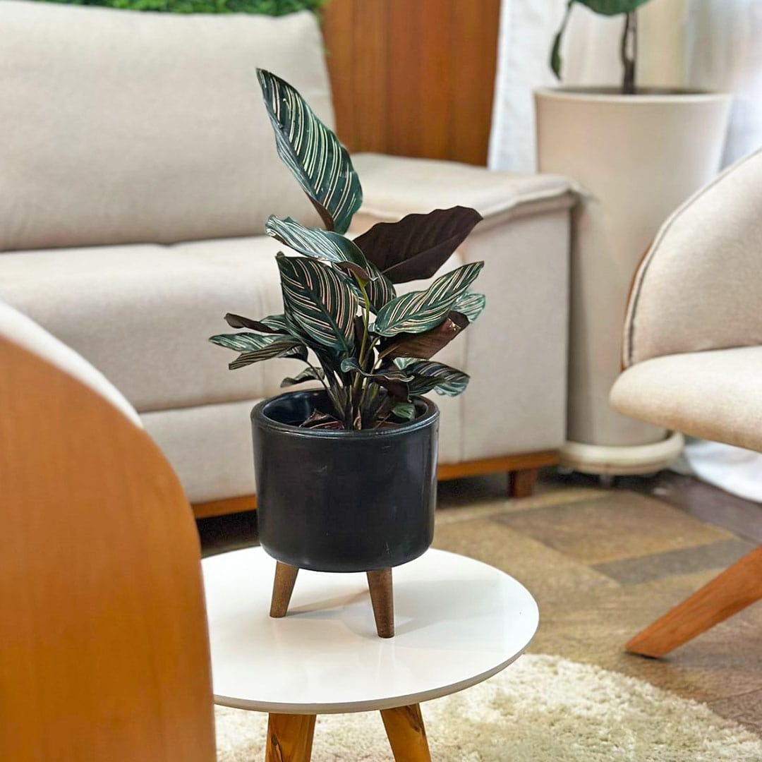 Mini Vaso Linha Doha 22cm com Tripé