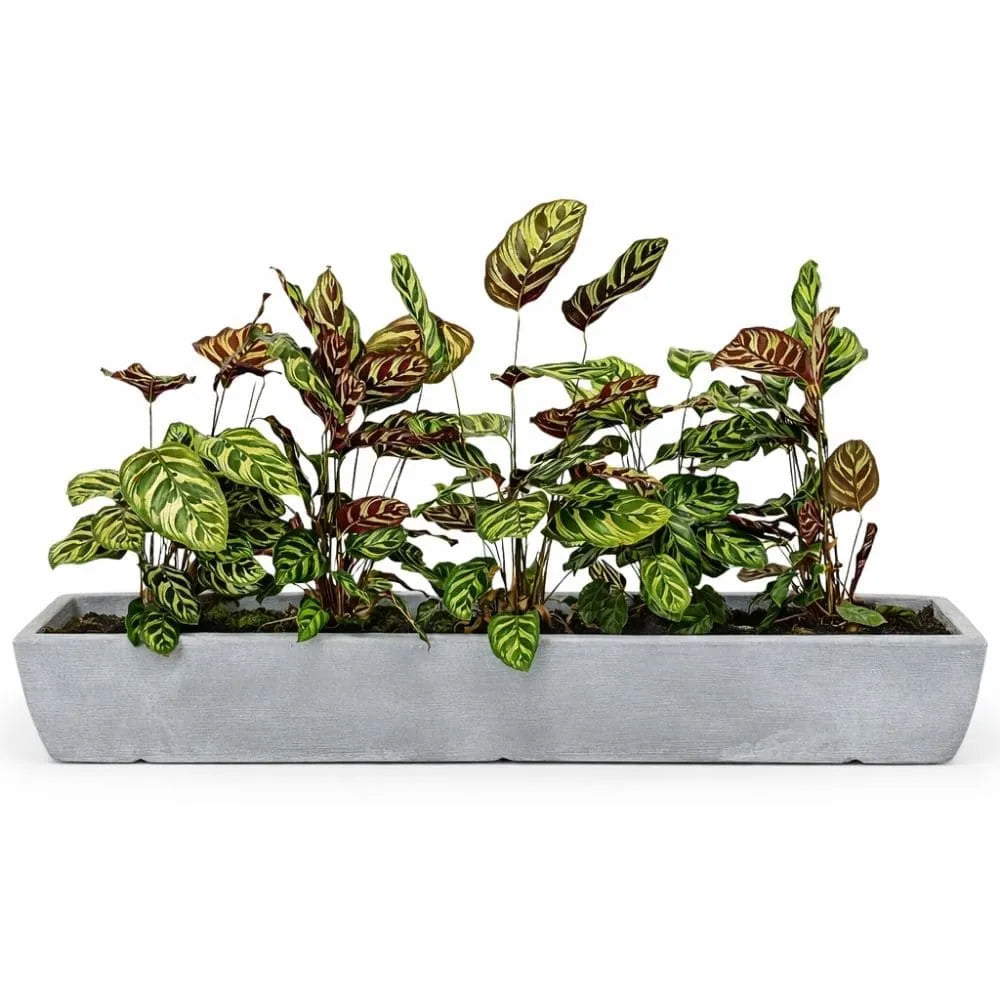 Jardineira Viena Fina em Polietileno