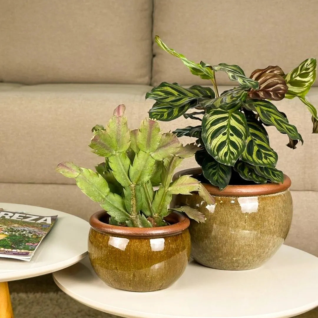 Kit 2 Vasos Cachepot em Cerâmica Esmaltada