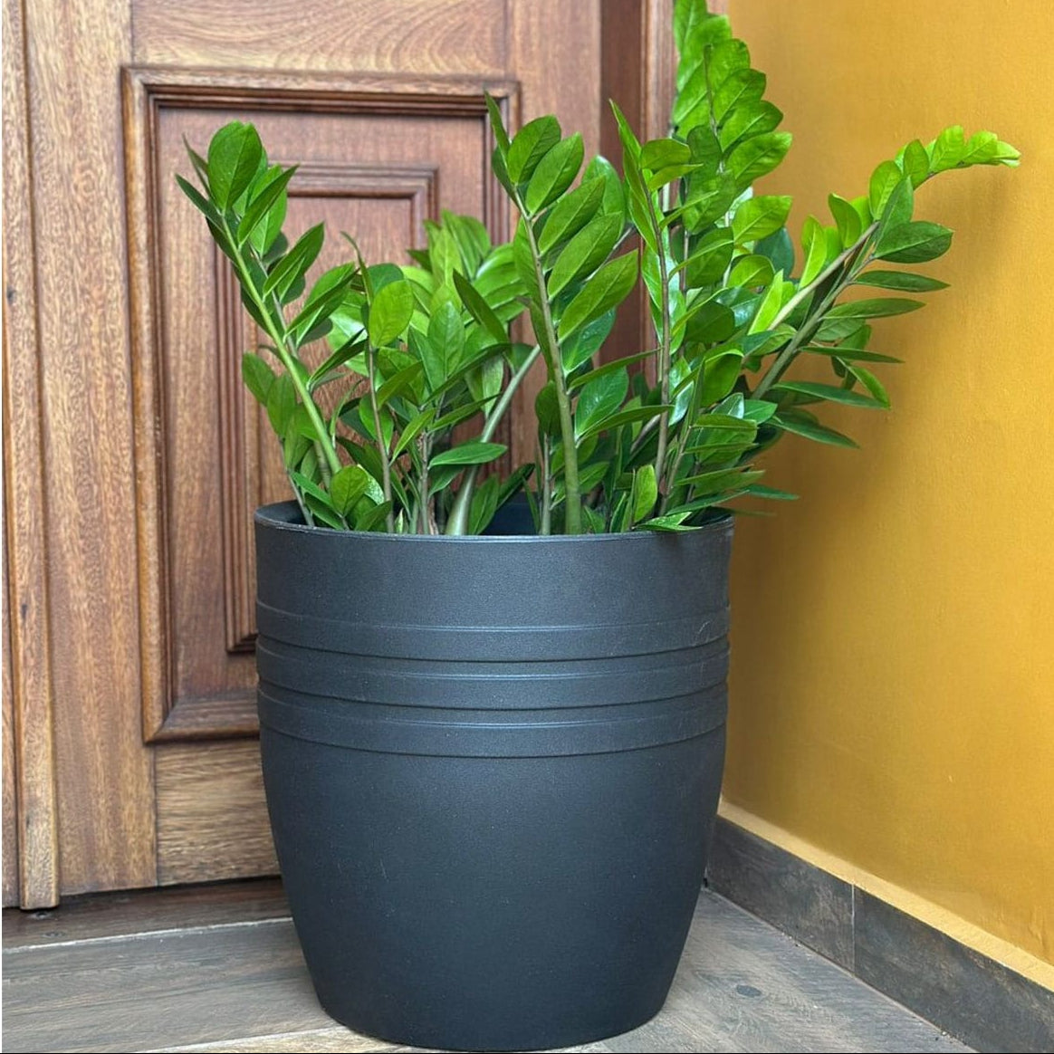 Vaso Mônaco Texturizado em Polietileno