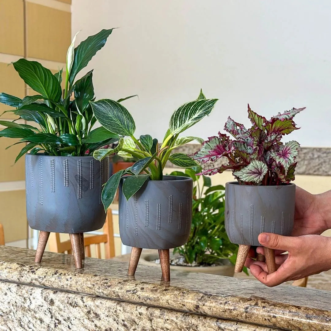 Kit 3 Vasos Genebra em Cerâmica com Tripé de Madeira