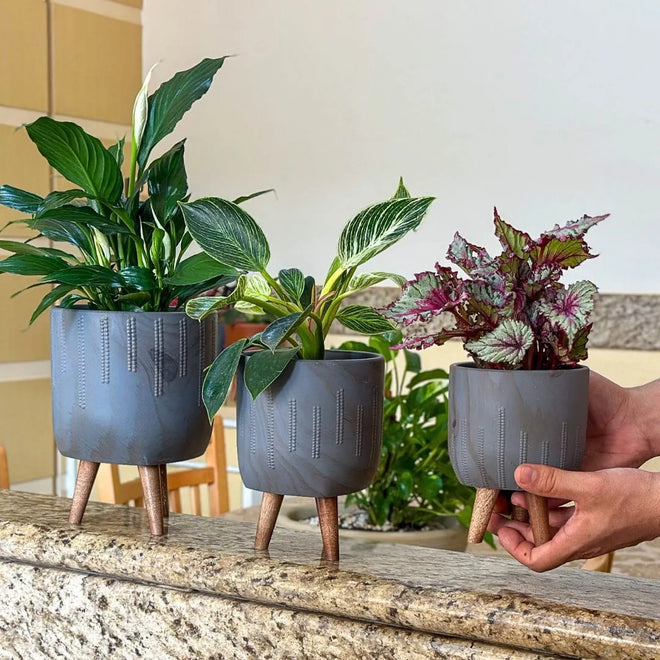 Kit 3 Vasos Genebra em Cerâmica com Tripé de Madeira