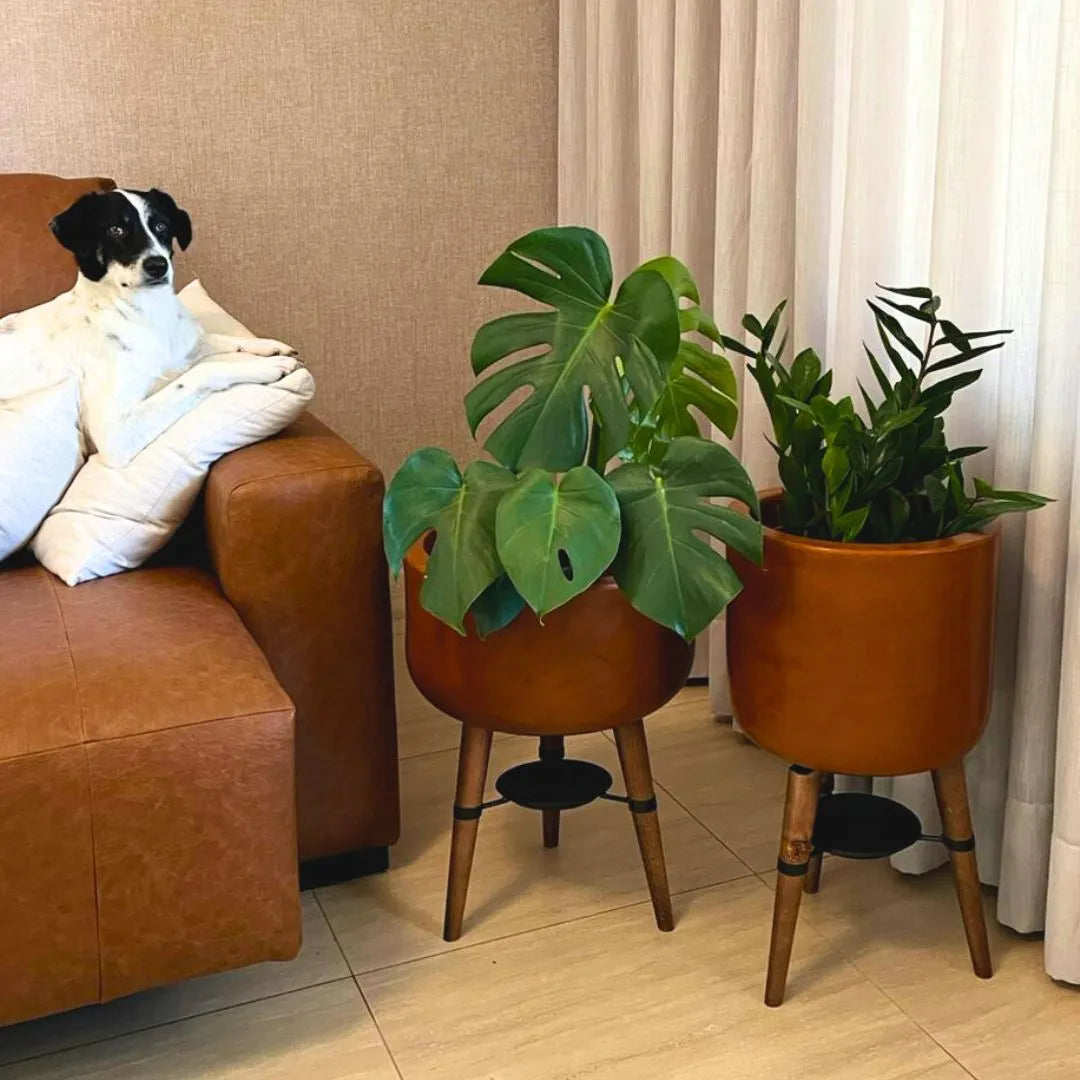 Kit Vaso + Bacia Linha Doha com Tripé de Madeira