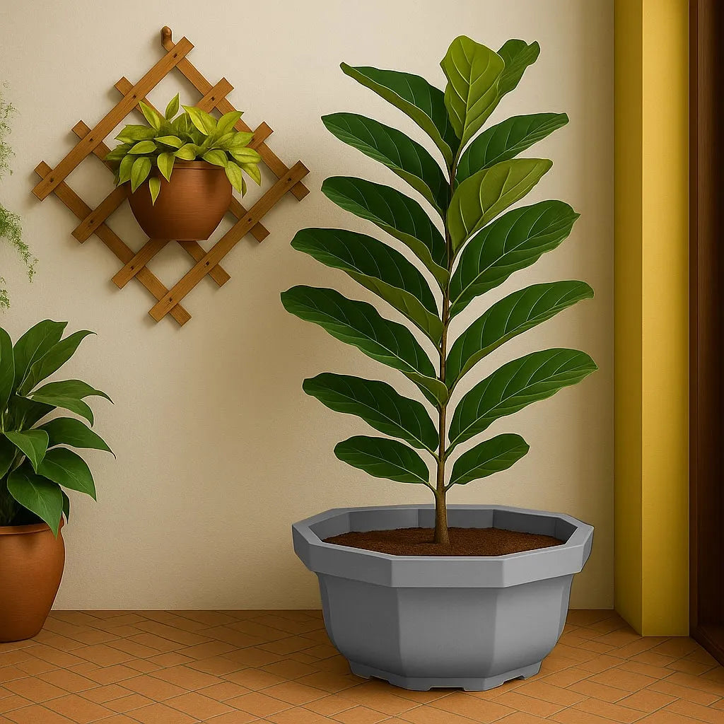 Vaso Bacia Oitavado Siena em Polietileno