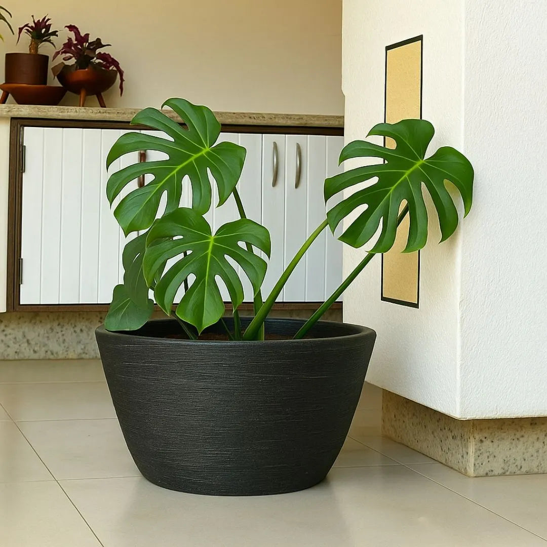 Vaso Bacia Pequim Texturizado em Polietileno 52cm