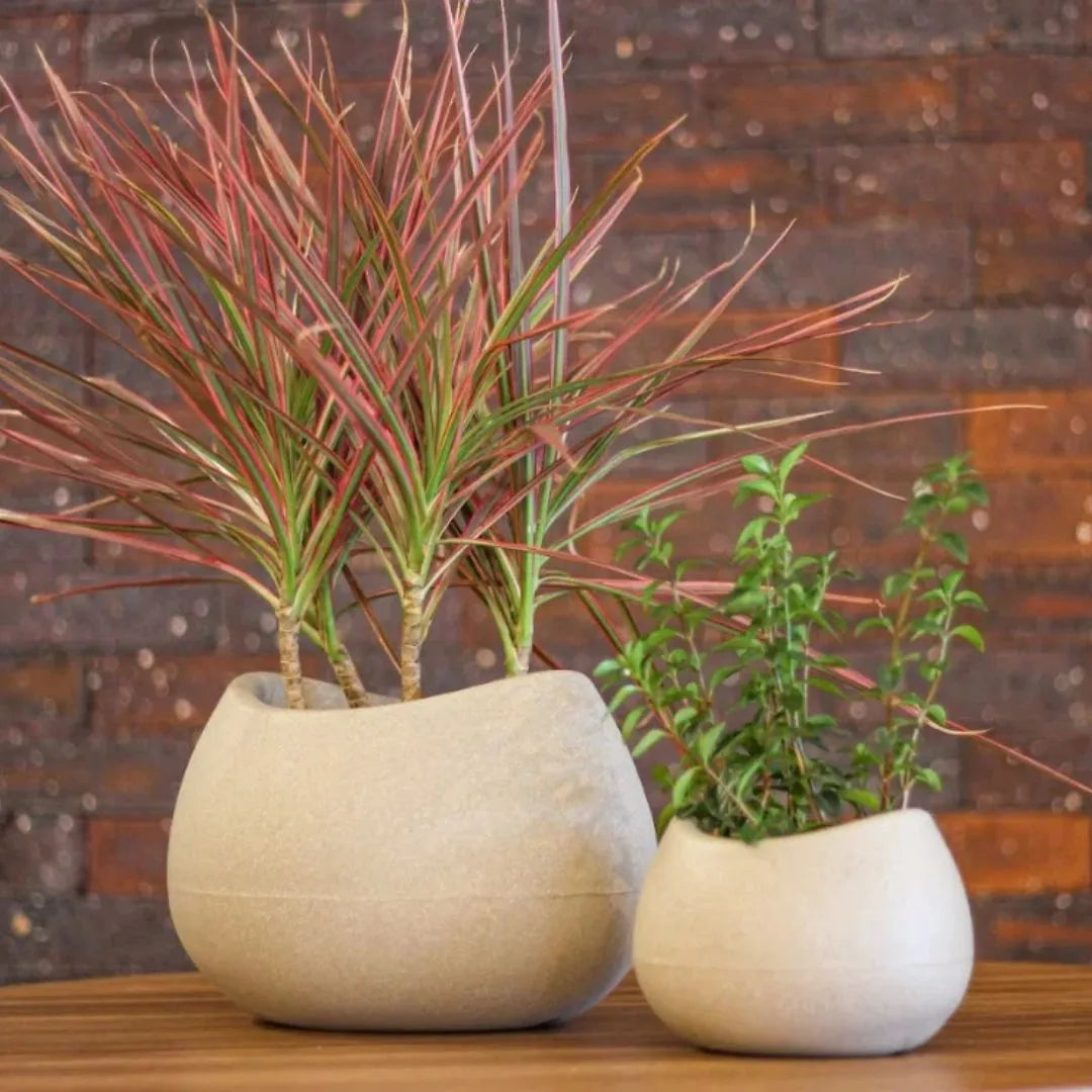 Vaso Texturizado Oval em Polietileno - Pequeno