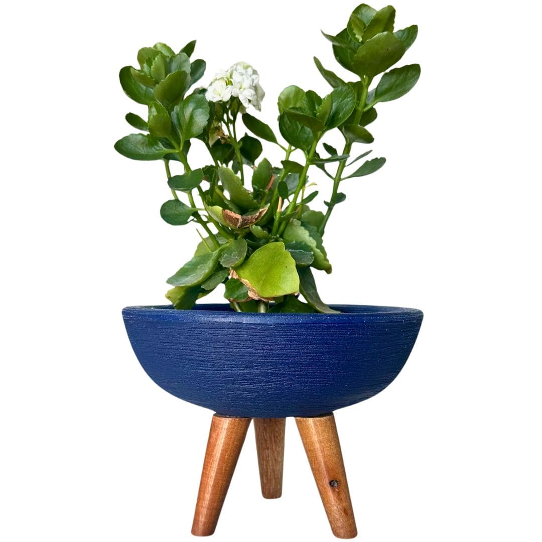 Kit 3 Vasos Pequenos para Espaços Compactos