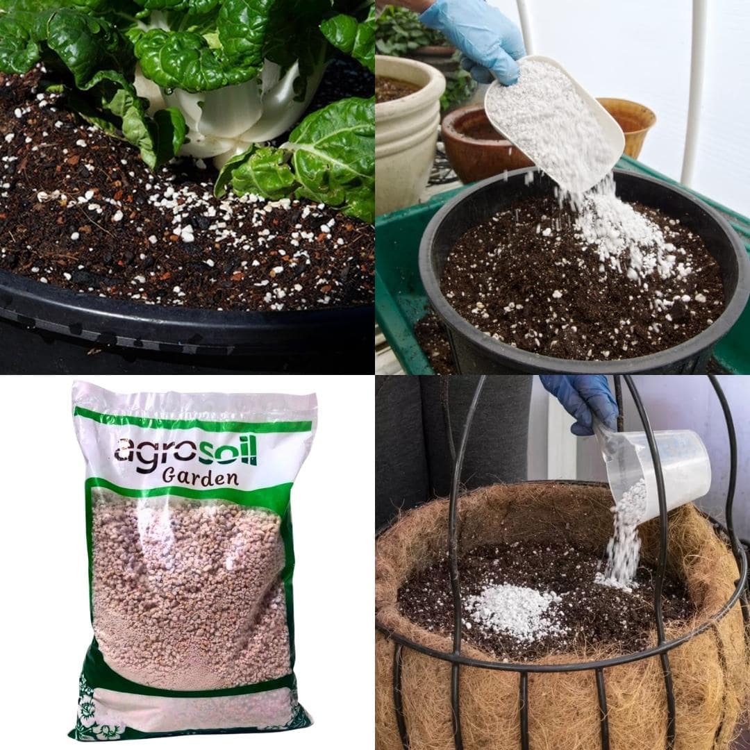 Kit da Carina Para Plantio de Mudinhas - O Melhor Substrato