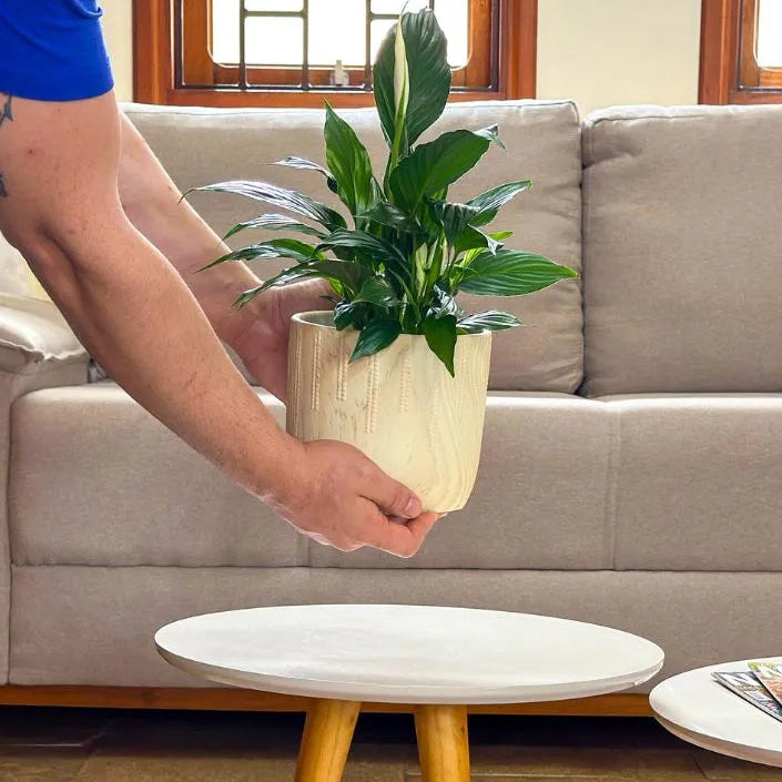 Kit 3 Vasos Linha Genebra em Cerâmica