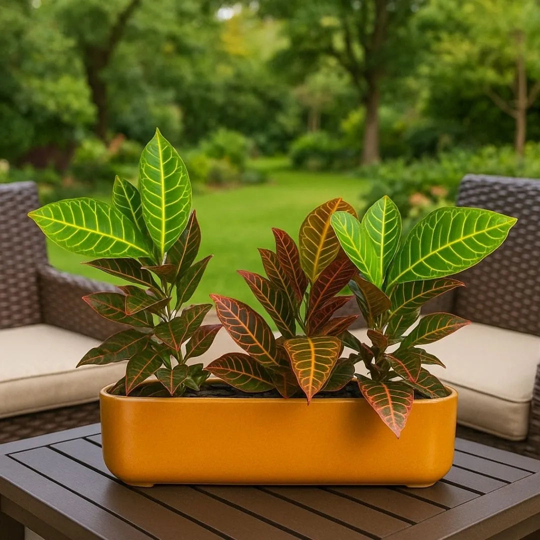 Jardineira Doha em Polietileno 50x17cm