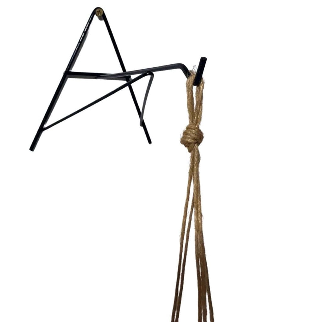 Kit Suporte A Para Parede + Kokedama Fibra De Coco Suspenso