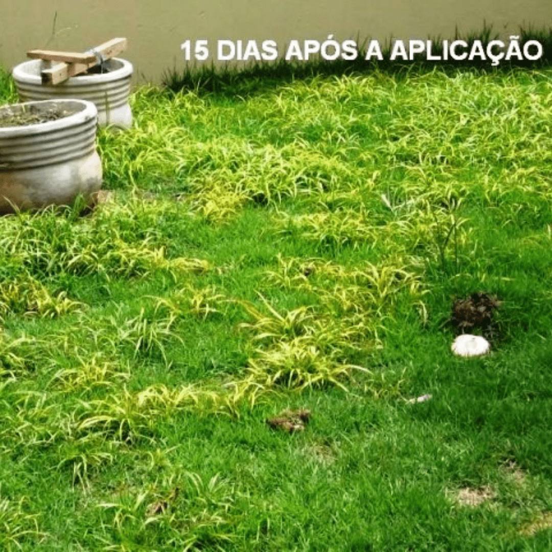 Elimina Mato Karpir Concentrado Seletivo 7,5ml