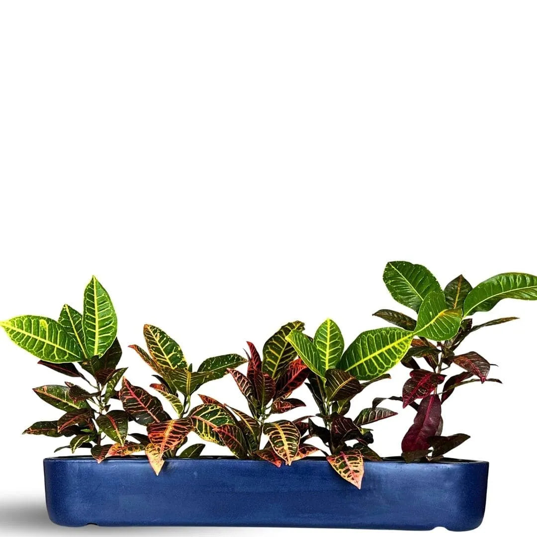 Jardineira Doha em Polietileno 80x17cm