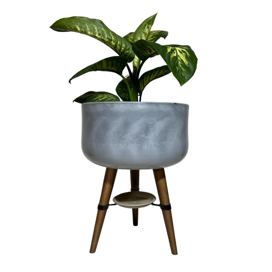 Vaso Bacia Linha Doha com Tripé de Madeira