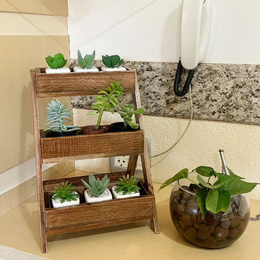 Suporte Vertical para Vasos de Suculenta