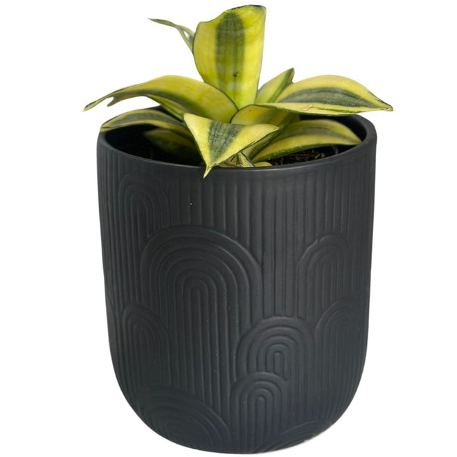 Vaso de Cerâmica Texturizado 13x15cm