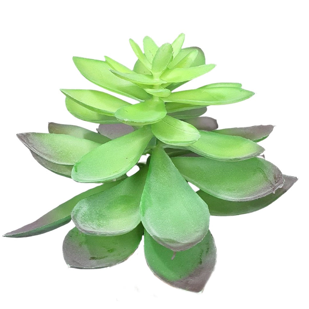 Suculentas Artificiais Decorativas