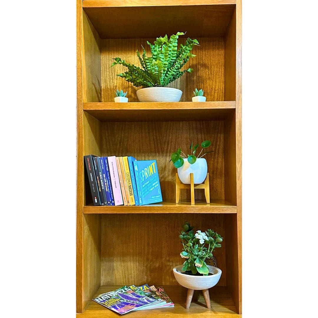 Kit 3 Vasos Pequenos para Espaços Compactos