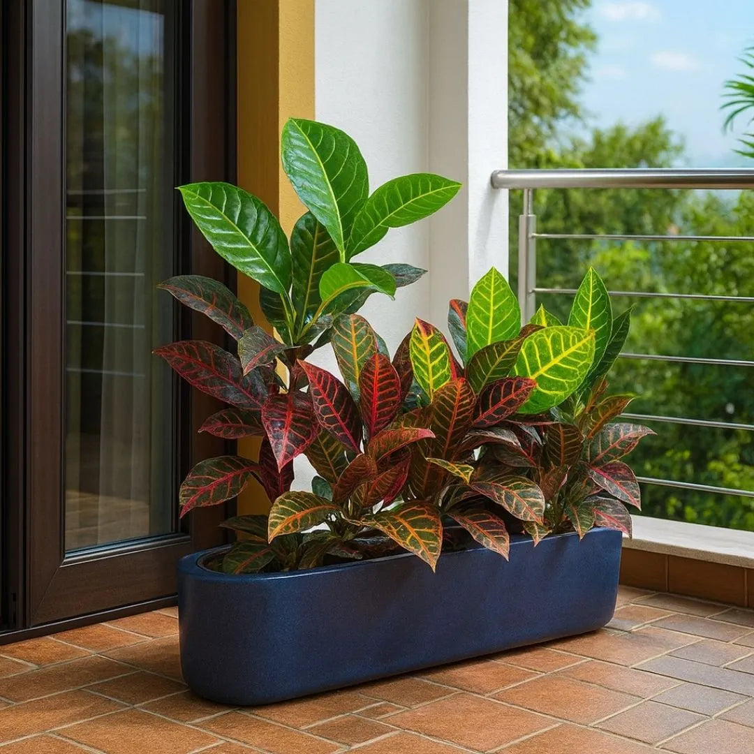 Jardineira Doha em Polietileno 80x17cm