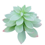 Suculentas Artificiais Decorativas