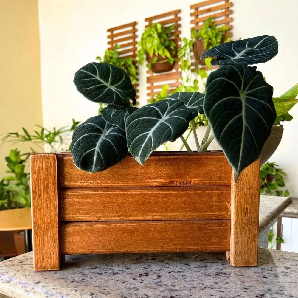 Jardineira de Madeira Ripada - Tamanhos Pequenos