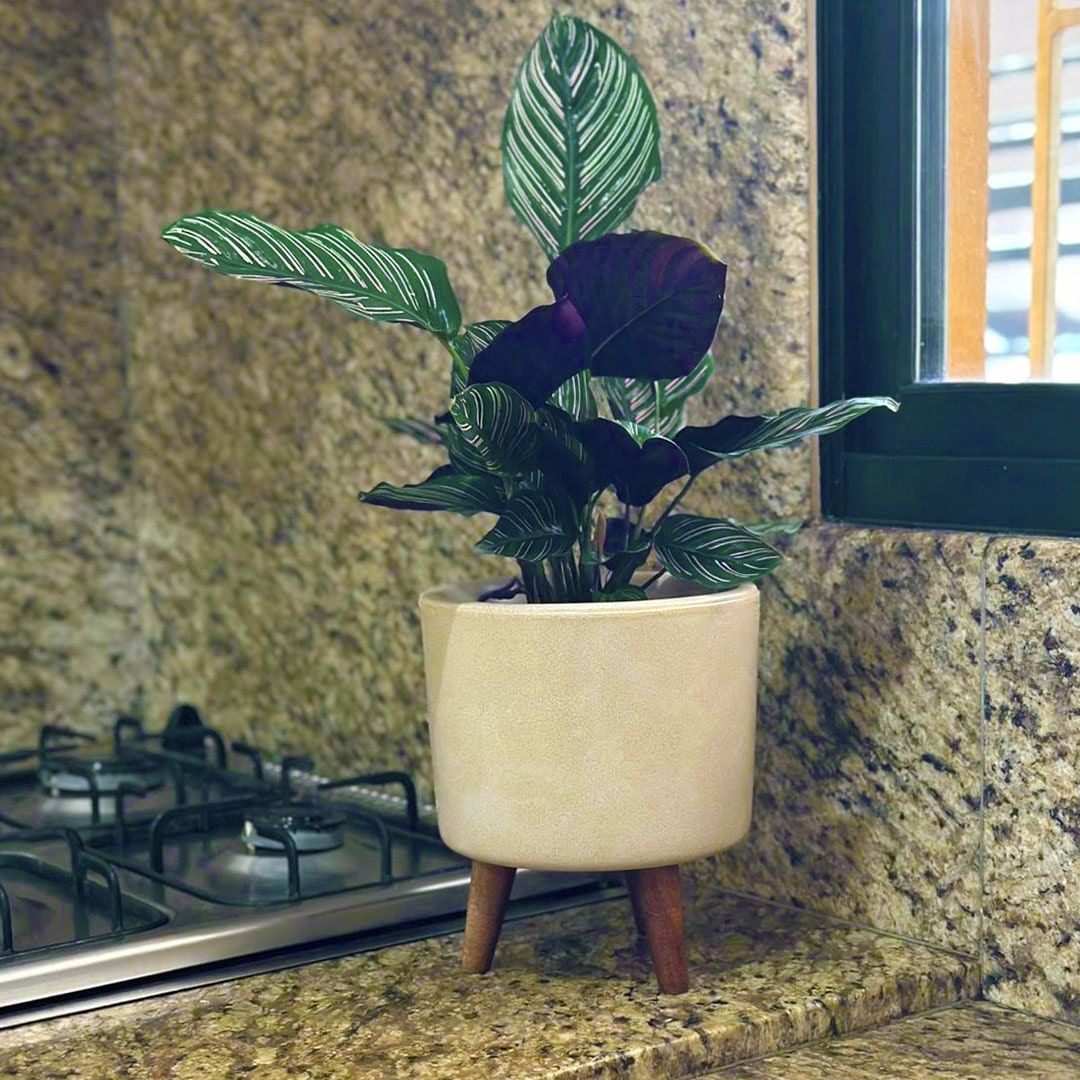 Mini Vaso Linha Doha 22cm com Tripé