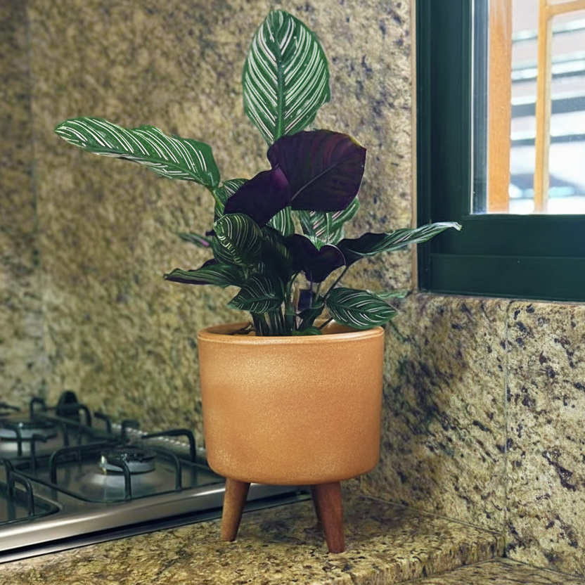 Mini Vaso Linha Doha 22cm com Tripé