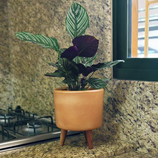 Mini Vaso Linha Doha 22cm com Tripé