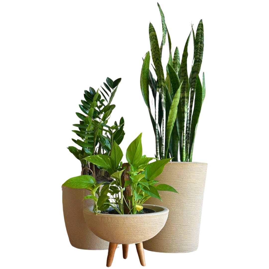 Kit 3 Vasos Decorativos em Polietileno