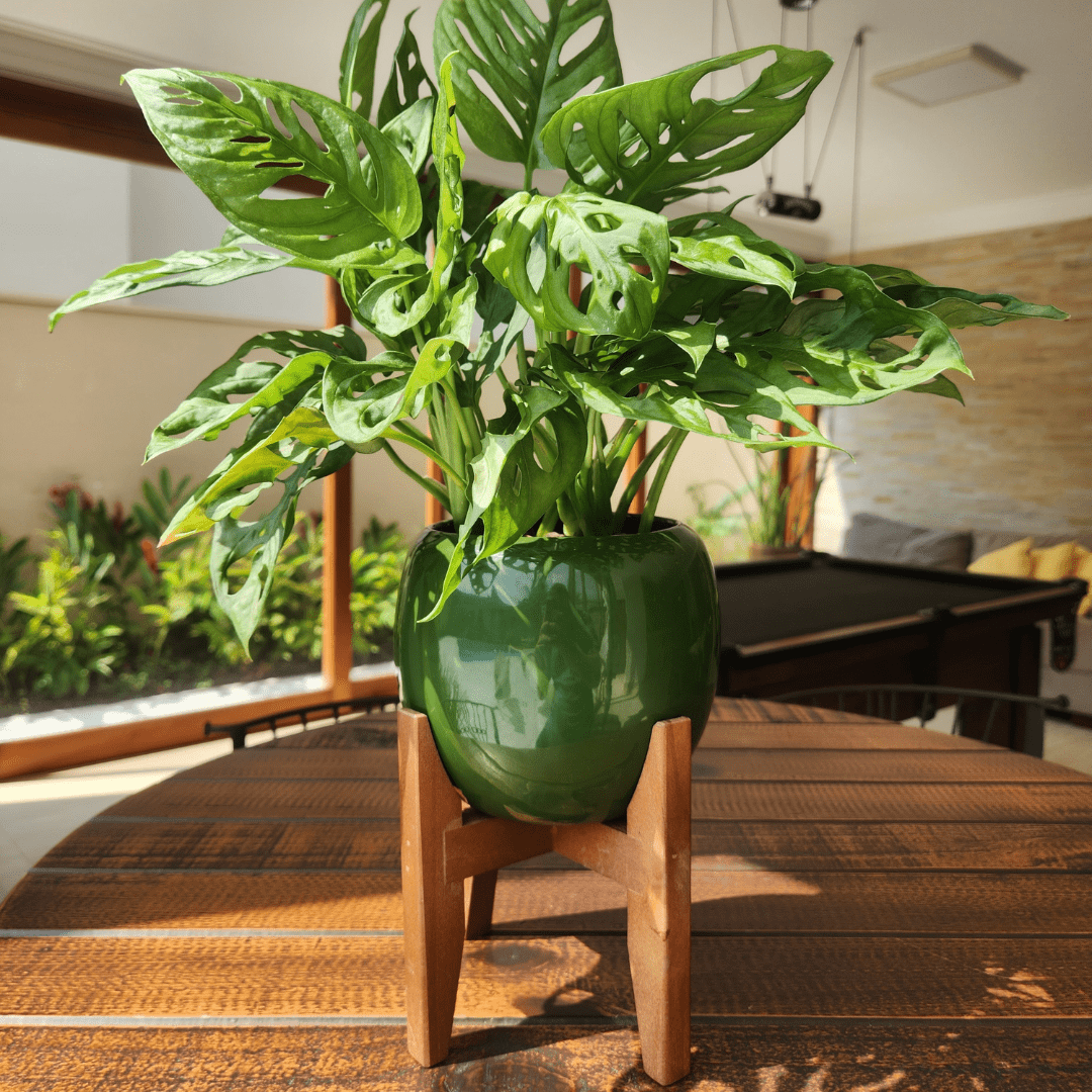 Vaso Cachepot em Porcelana com Tripé de Madeira