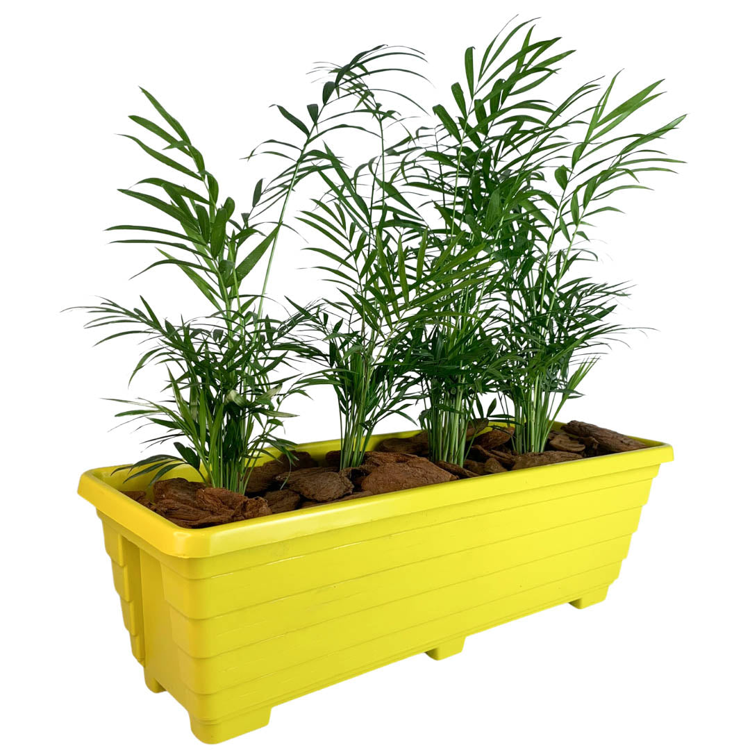 Jardineira Floreira de Plástico 50cm