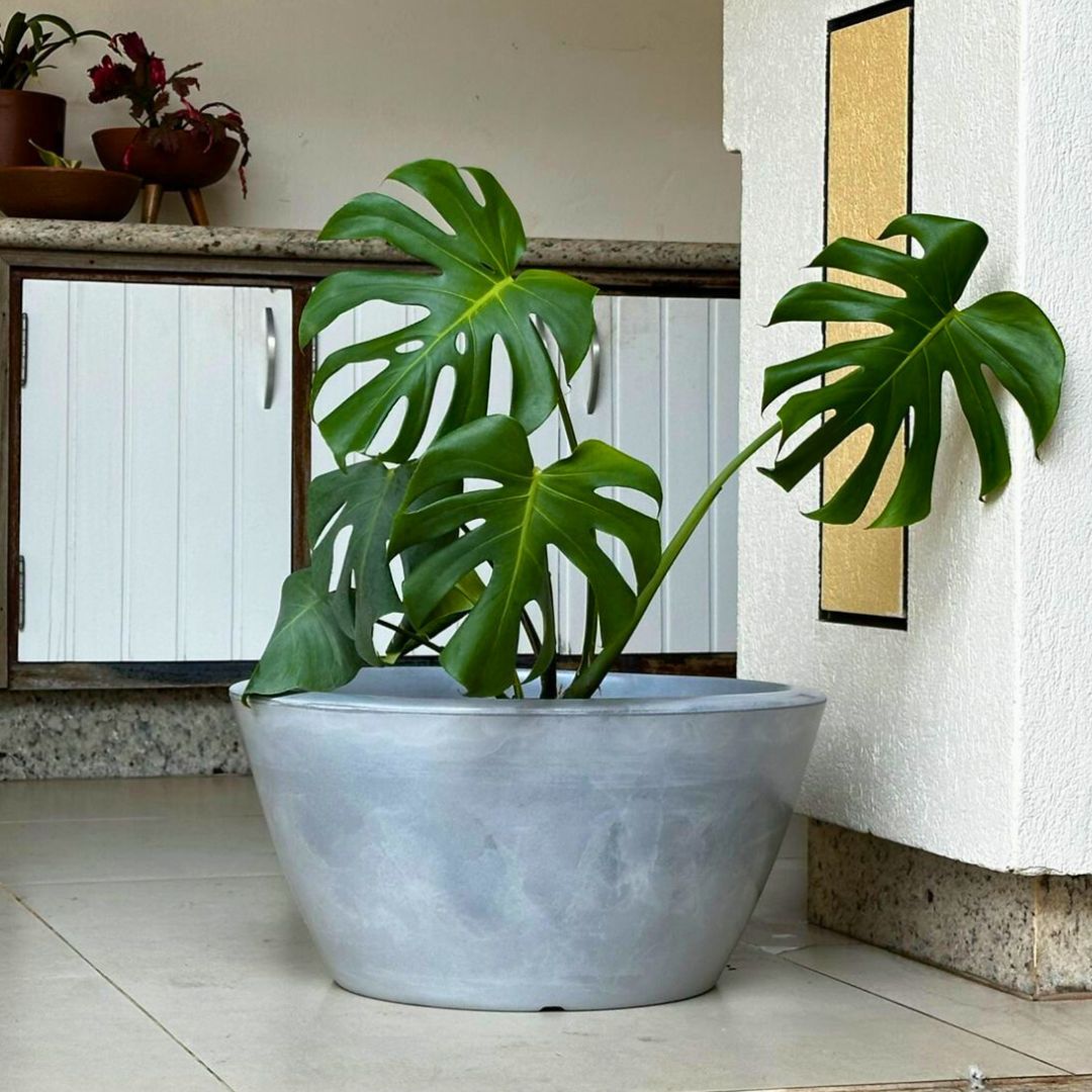 Vaso Bacia Pequim em Polietileno 52cm