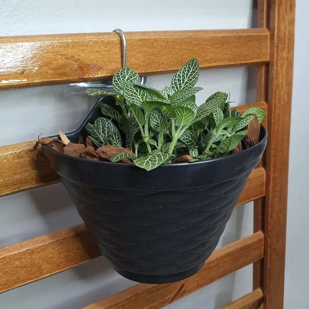 Meio Vaso de Parede para Jardim Vertical