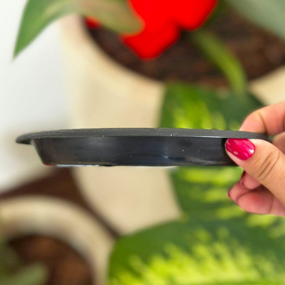 Vaso Bacia Linha Doha com Tripé de Madeira