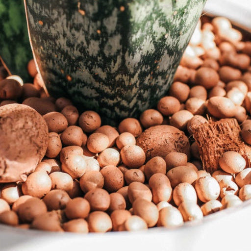 Argila Expandida 20kg