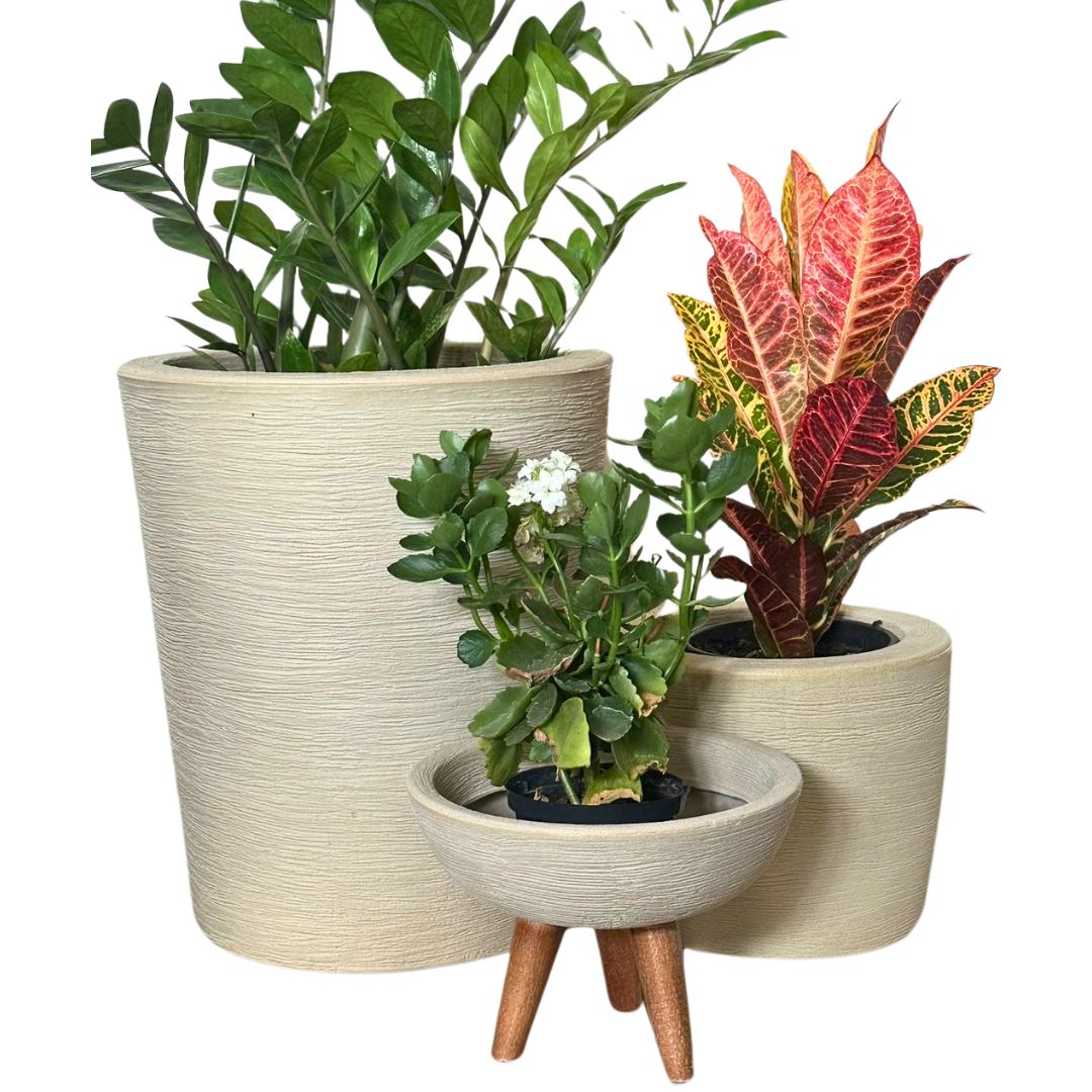 Kit 3 Vasos Decorativos para Pequenos Espaços