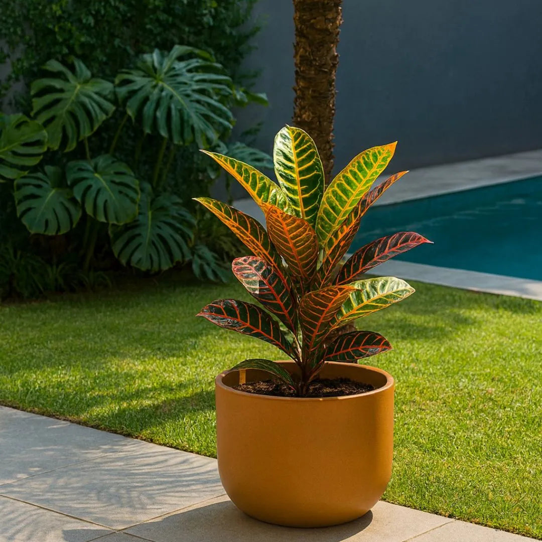 Vaso Doha Médio em Polietileno