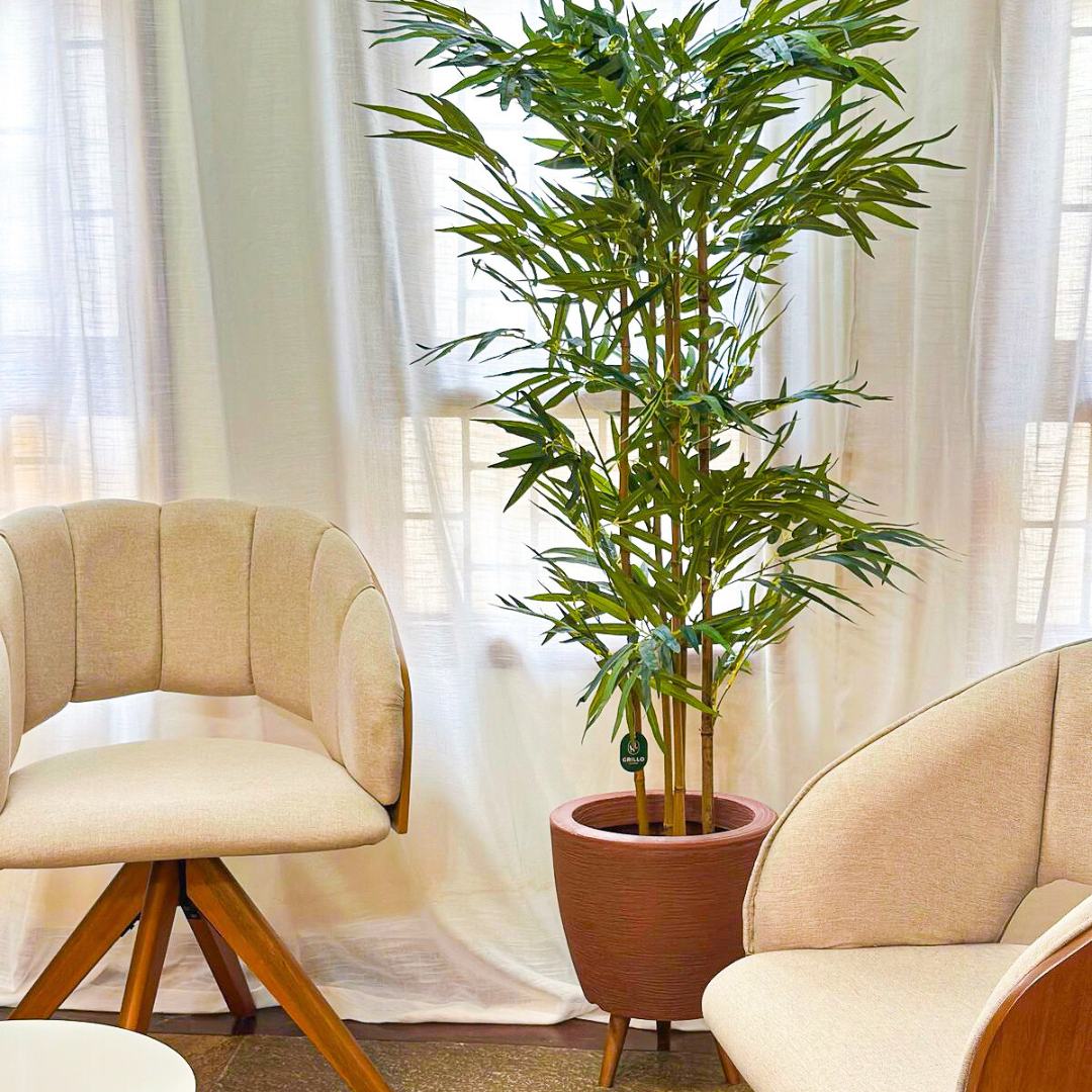 Planta Artificial Árvore Bambu Mossô Real Decoração 1,6m