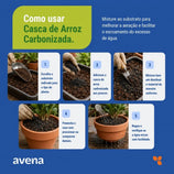 Casca de Arroz Carbonizada Substrato Orgânico Avena 5L