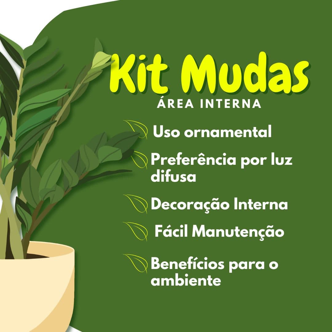 Kit de Planta Natural com 4 Mudas para Decoração Interna