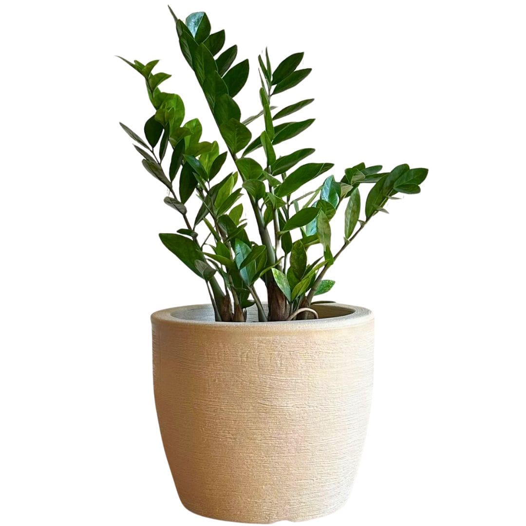 Kit 3 Vasos Decorativos em Polietileno