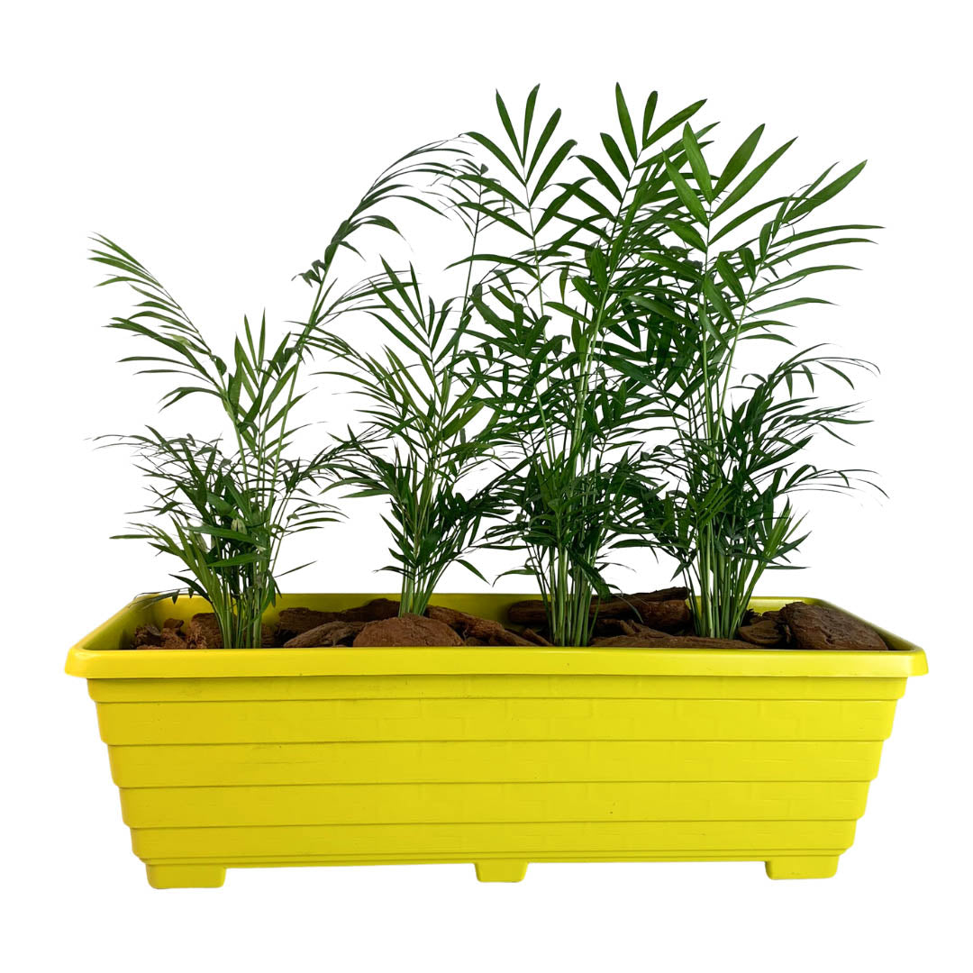 Jardineira Floreira de Plástico 50cm