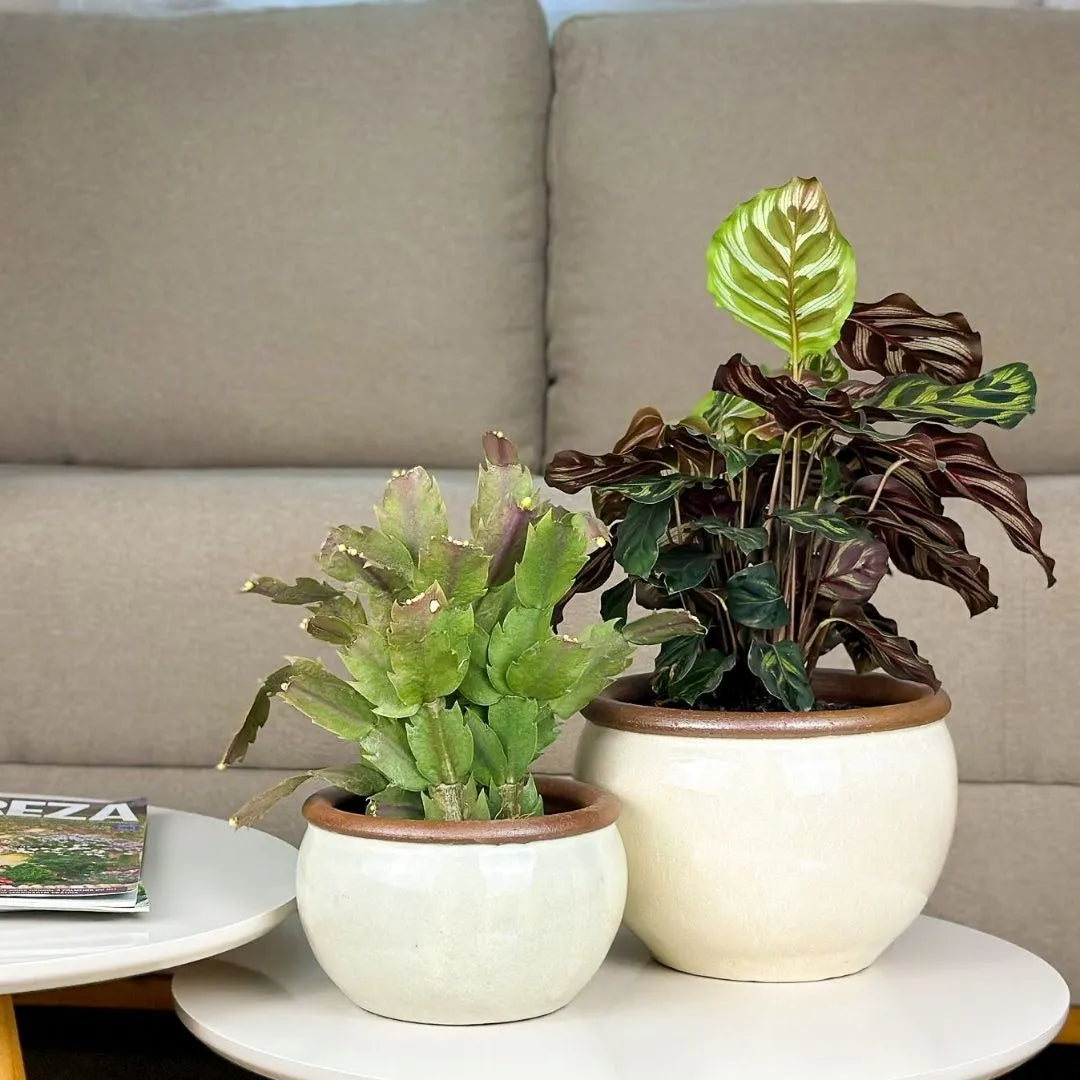 Kit 2 Vasos Cachepot em Cerâmica Esmaltada