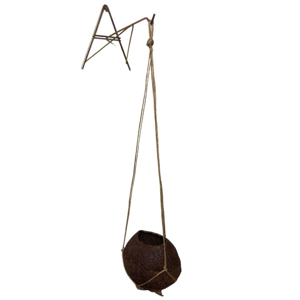 Kit Suporte A Para Parede + Kokedama Fibra De Coco Suspenso