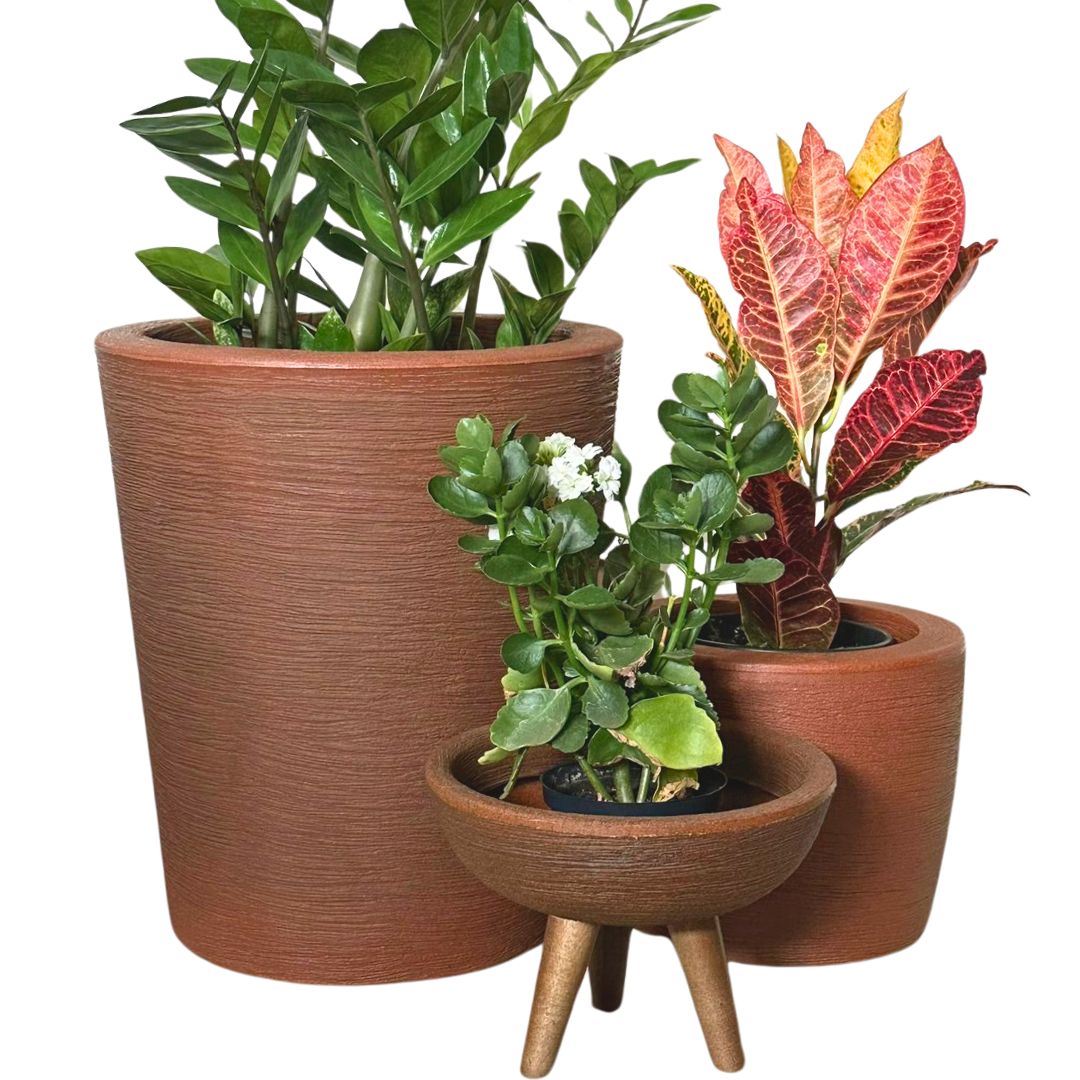 Kit 3 Vasos Decorativos para Pequenos Espaços