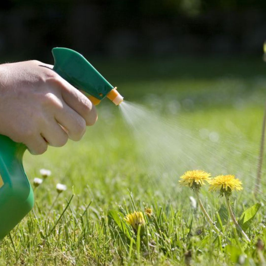 Glifomato Elimina Mato Insetimax 100ml