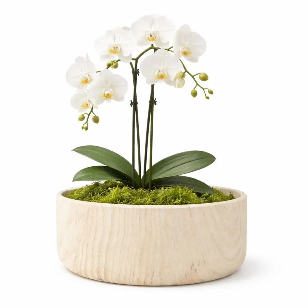 Vaso Bacia Linha Genebra em Cerâmica