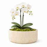 Vaso Bacia Linha Genebra em Cerâmica