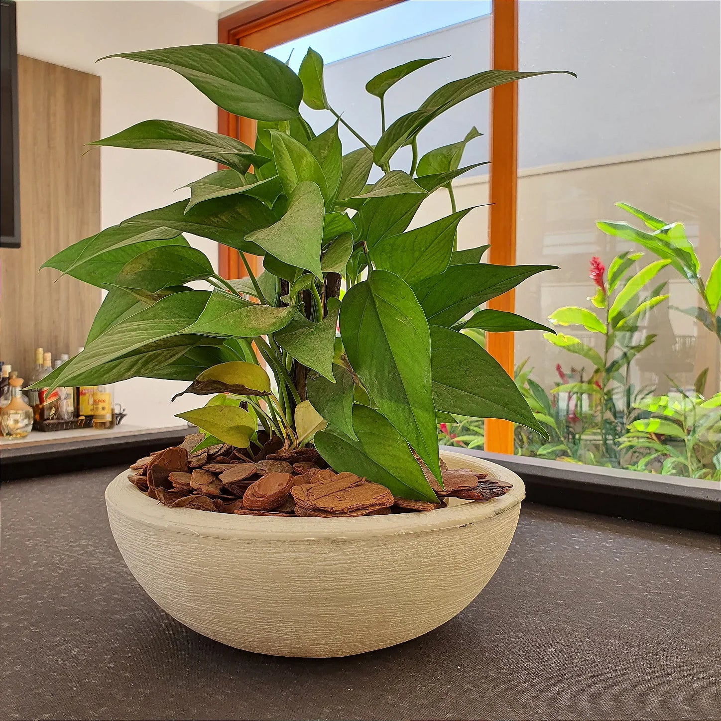 Vaso Bacia Cuia Pequeno em Polietileno