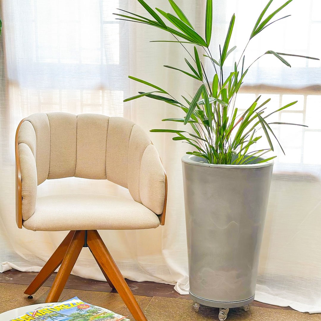 Vaso de Planta e Suporte com Roda Para Decoração Kit 2 Peças